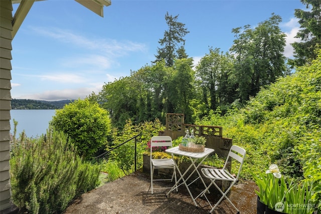 9611 Rainier Ave S, Seattle, WA 98118 - photo 30