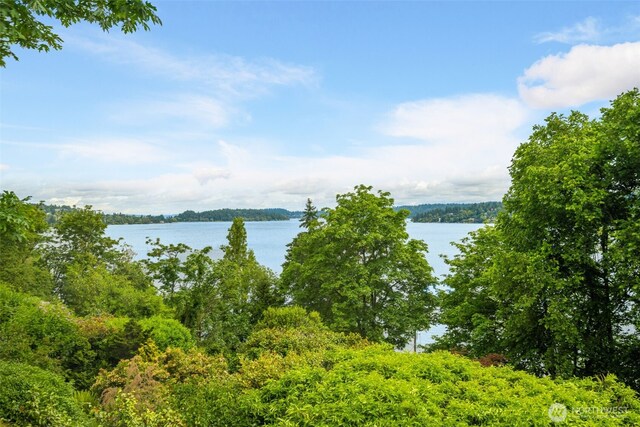 9611 Rainier Ave S, Seattle, WA 98118 - photo 4