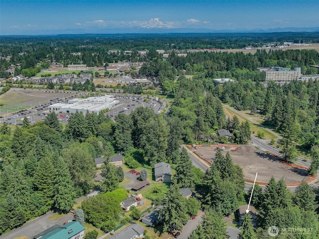 2209 Mciver Ct SW, Tumwater, WA 98512 - drone / aerial view of a forest