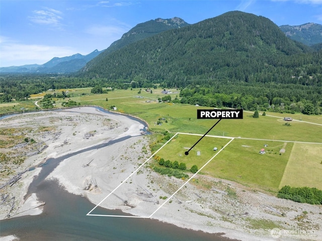 203 River Ranch Rd, Randle, WA 98532