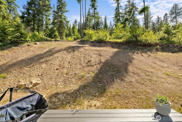 720 Stone Ridge Dr, Cle Elum, WA 98922 - view of yard