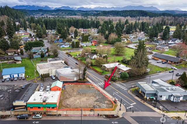 45 Tolt Ave, Carnation, WA 98014 - photo 4