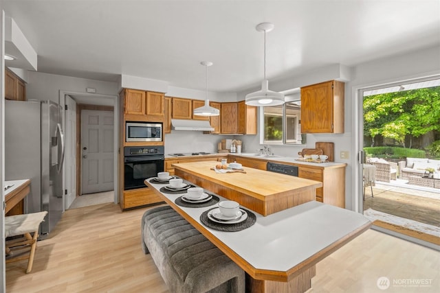 15406 NE 3rd Pl, Bellevue, WA 98007 - kitchen with appliances with stainless steel finishes, under cabinet range hood, a sink, pendant lighting, and light wood-style floors