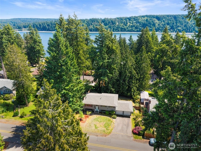 8539 University Point Cir NE, Bremerton, WA 98311 - bird's eye view of a forest and a large body of water