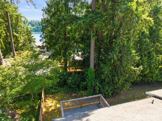 8539 University Point Cir NE, Bremerton, WA 98311 - view of yard featuring a water view and a forest view
