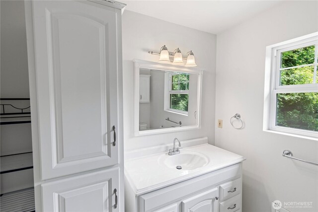 8000 NE W Port Madison Rd, Bainbridge Island, WA 98110 - bathroom featuring vanity and healthy amount of natural light