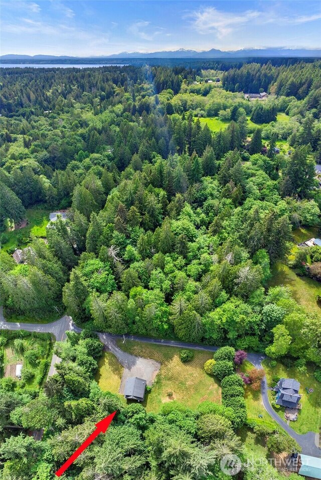 8000 NE W Port Madison Rd, Bainbridge Island, WA 98110 - drone / aerial view of a forest