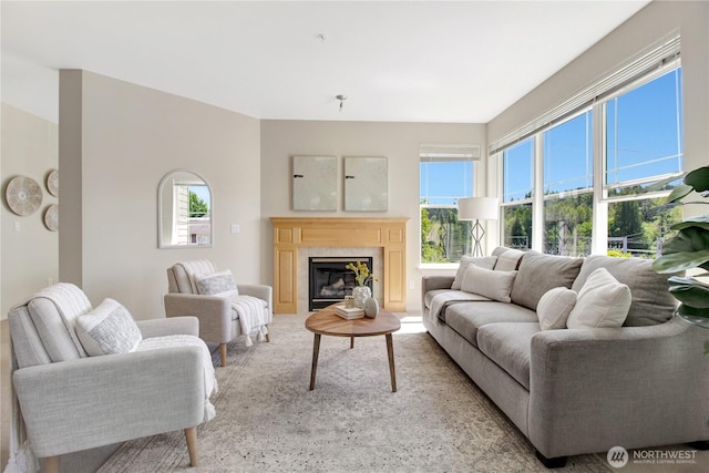 910 Medical Center Dr Unit E101, Arlington, WA 98223 - living room with a glass covered fireplace and light carpet