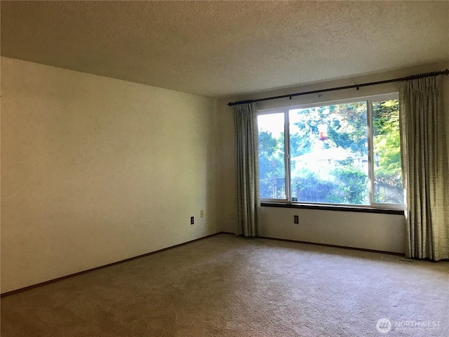 7613 12th Way, Olympia, WA 98516 - empty room featuring light colored carpet, a textured ceiling, and baseboards