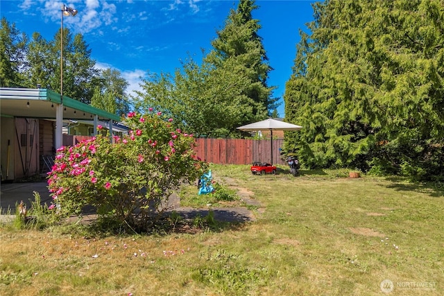 28624 27th Pl S, Federal Way, WA 98003 - view of yard