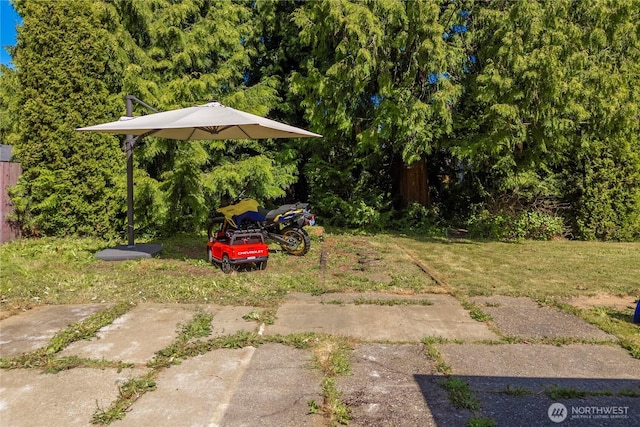28624 27th Pl S, Federal Way, WA 98003 - view of green lawn