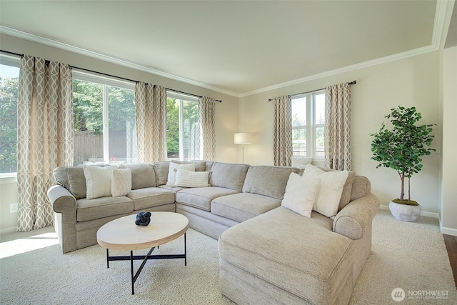 24817 SE 13th Pl, Sammamish, WA 98075 - living area with healthy amount of natural light, crown molding, baseboards, and carpet floors