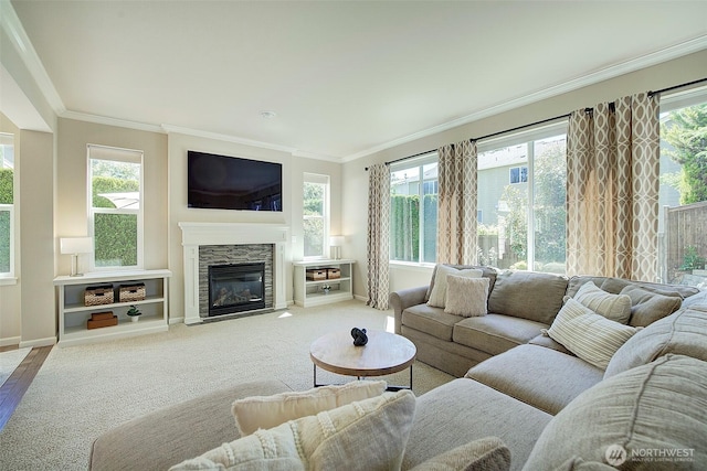 24817 SE 13th Pl, Sammamish, WA 98075 - living room with ornamental molding, a fireplace with flush hearth, and baseboards