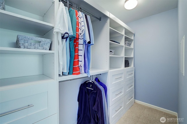 24817 SE 13th Pl, Sammamish, WA 98075 - walk in closet featuring carpet floors
