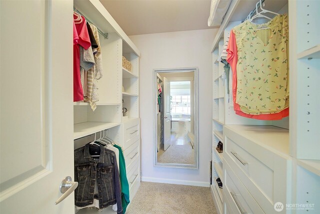 24817 SE 13th Pl, Sammamish, WA 98075 - spacious closet featuring light colored carpet