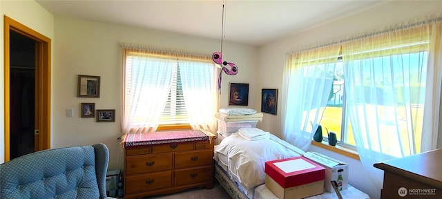 324 Pond Ln, Sequim, WA 98382 - view of bedroom
