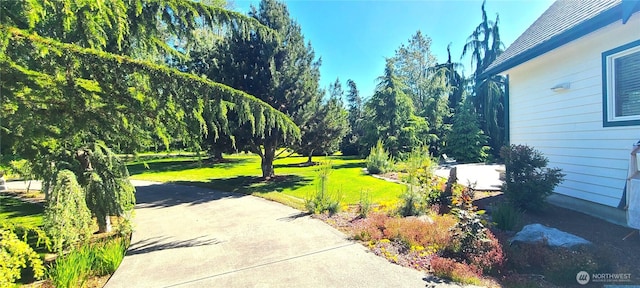 324 Pond Ln, Sequim, WA 98382 - view of green lawn