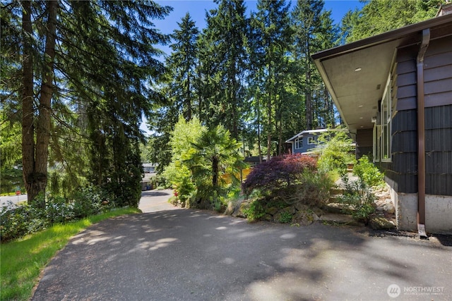 4006 147th Pl SE, Bellevue, WA 98006 - view of asphalt road