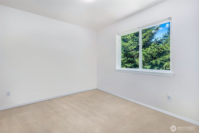 12112 251st Ave SE, Monroe, WA 98272 - photo 29