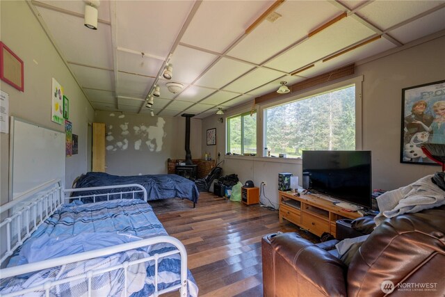 18005 Burn Rd, Arlington, WA 98223 - bedroom with a wood stove and hardwood / wood-style floors