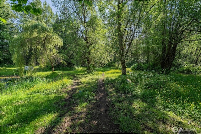 18005 Burn Rd, Arlington, WA 98223 - view of tree filled area