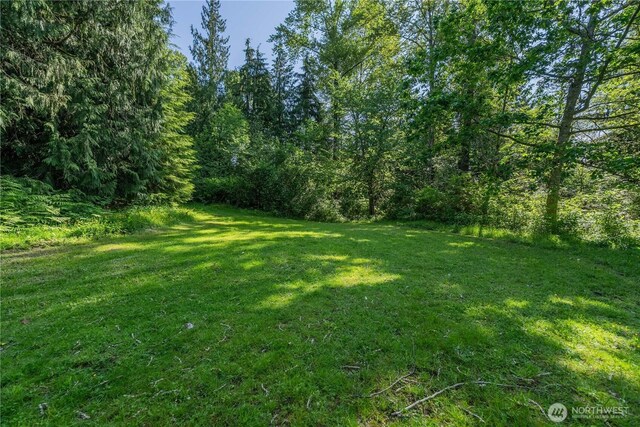 18005 Burn Rd, Arlington, WA 98223 - view of green lawn