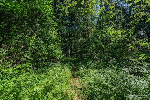 18005 Burn Rd, Arlington, WA 98223 - view of tree filled area