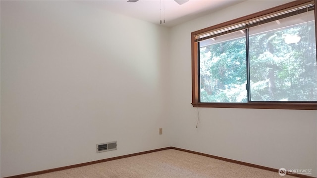 7019 Cameo Dr SW, Lakewood, WA 98499 - photo 26