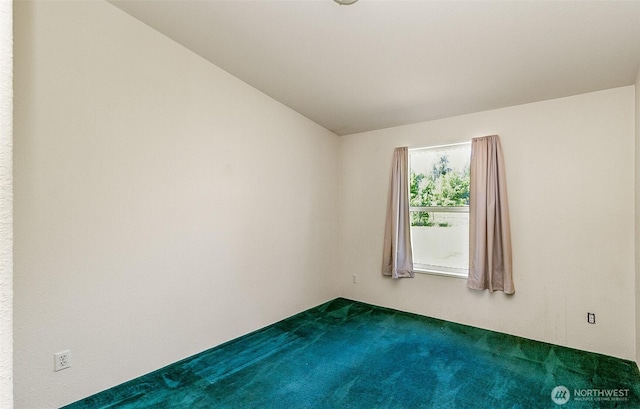 16911 126th St NE, Arlington, WA 98223 - photo 35