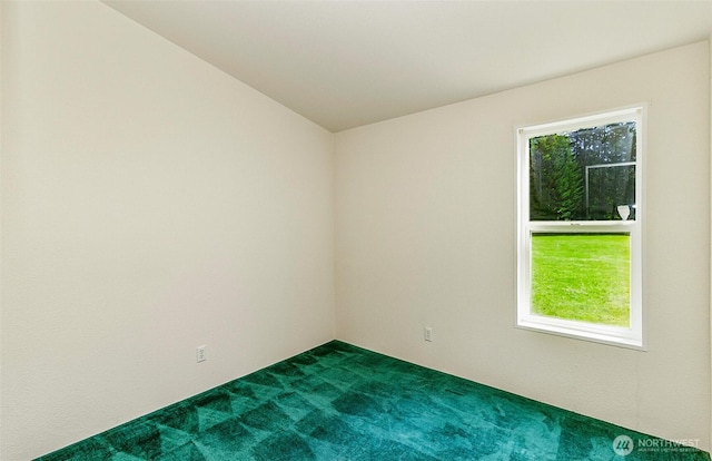 16911 126th St NE, Arlington, WA 98223 - photo 36