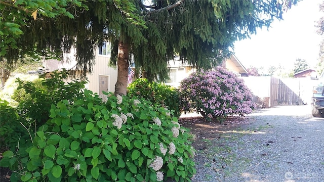 15103 Westmore Dr E, Puyallup, WA 98374 - view of yard