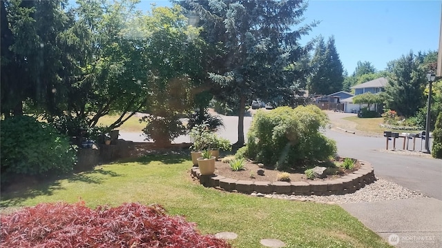 15103 Westmore Dr E, Puyallup, WA 98374 - photo 39