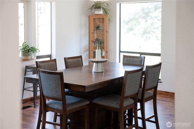 5721 Mountain Lane Rd, Peshastin, WA 98847 - dining area with plenty of natural light and wood finished floors