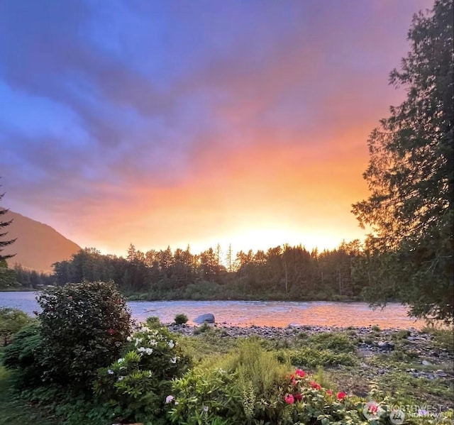 44019 Fir Rd, Gold Bar, WA 98251 - water view with a forest