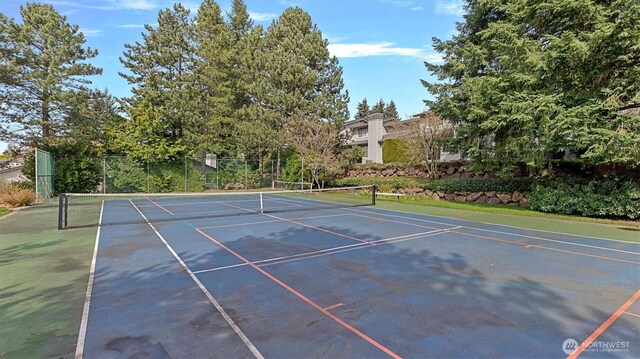 11405 SE 65th St, Bellevue, WA 98006 - view of tennis court with community basketball court