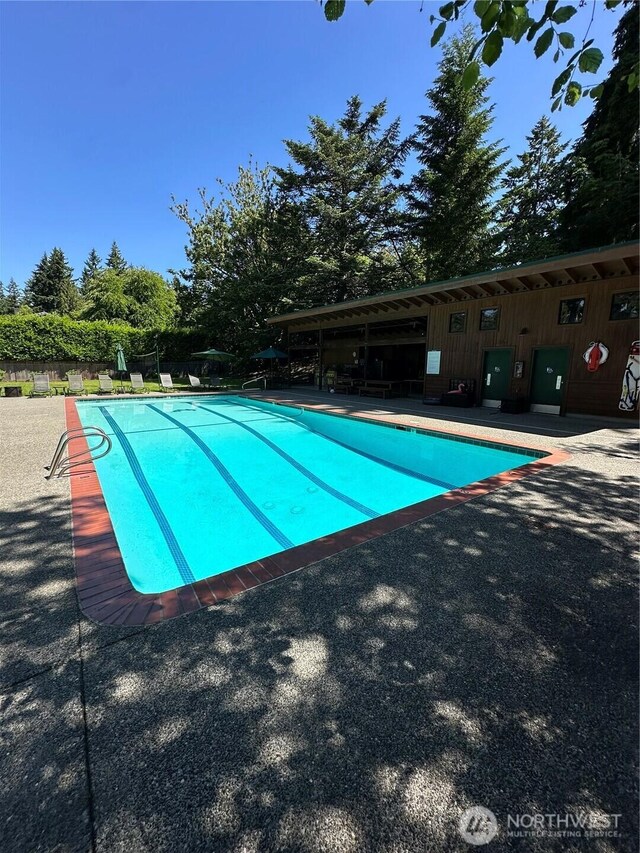 10250 SE 21st St, Bellevue, WA 98004 - community pool featuring a patio area