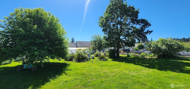 1015 Randall St, Aberdeen, WA 98520 - photo 5
