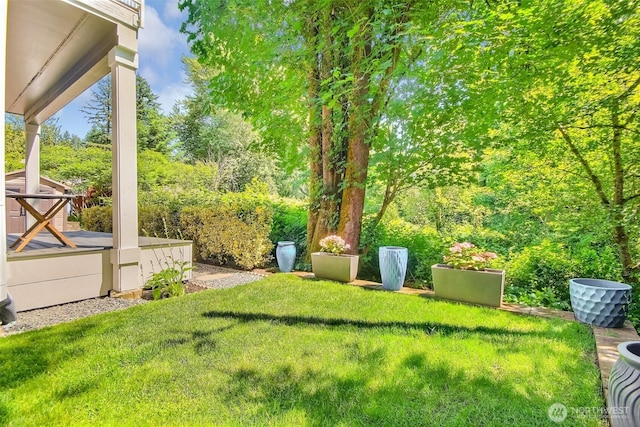 20208 81st Pl NE, Kenmore, WA 98028 - view of green lawn