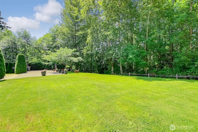 20208 81st Pl NE, Kenmore, WA 98028 - view of green lawn