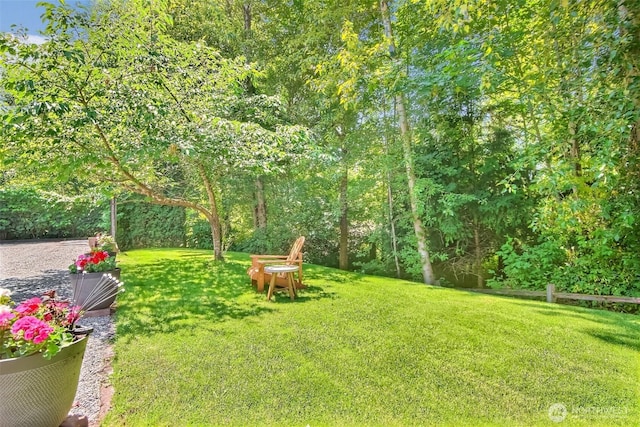 20208 81st Pl NE, Kenmore, WA 98028 - view of green lawn