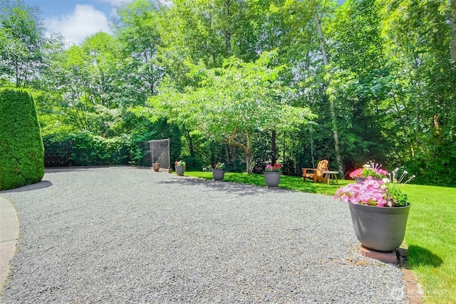 20208 81st Pl NE, Kenmore, WA 98028 - surrounding community with a yard