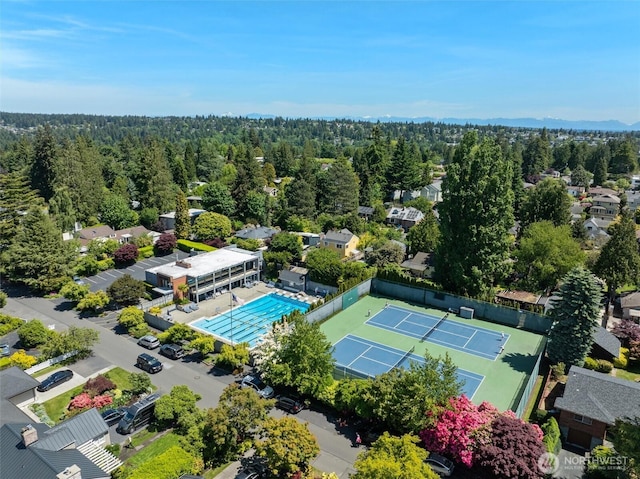 1536 NW 100th St, Seattle, WA 98177 - drone / aerial view of a pool area and a forest