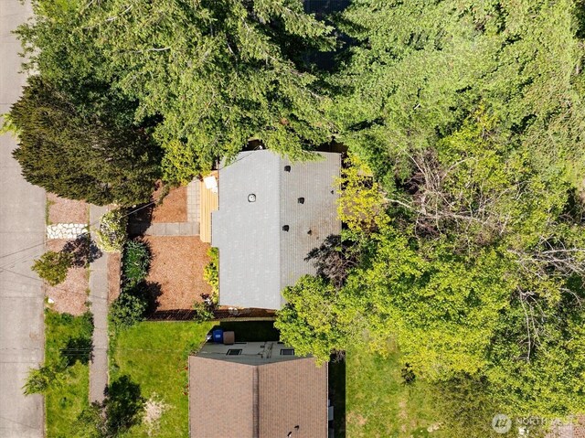 9010 13th Ave SW, Seattle, WA 98106 - aerial view of property and surrounding area