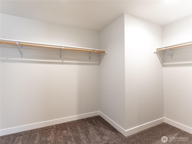 10 Salmon Dr, Wenatchee, WA 98801 - walk in closet featuring dark carpet
