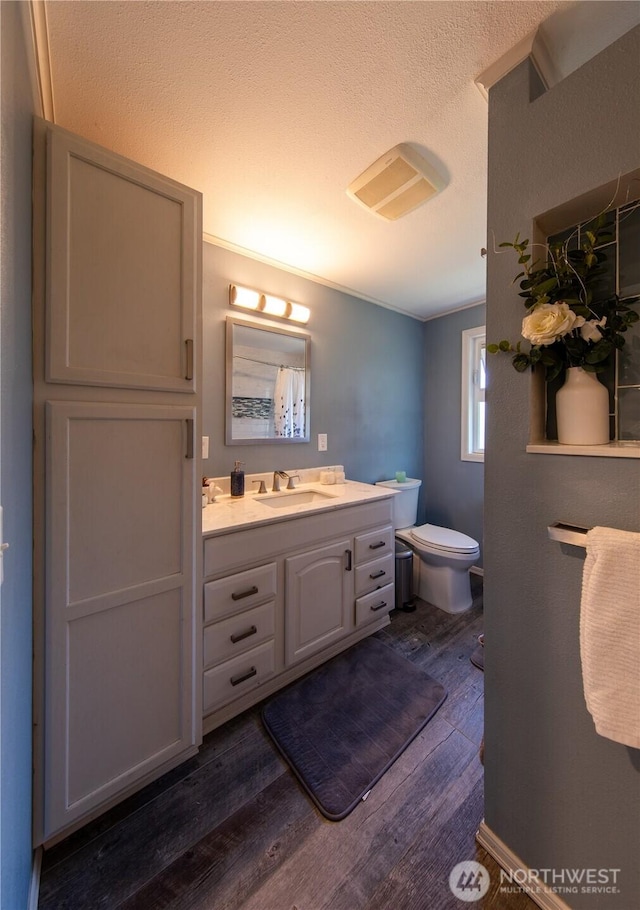 204 76th St SE, Everett, WA 98203 - bathroom with wood finished floors, vanity, toilet, and a textured ceiling