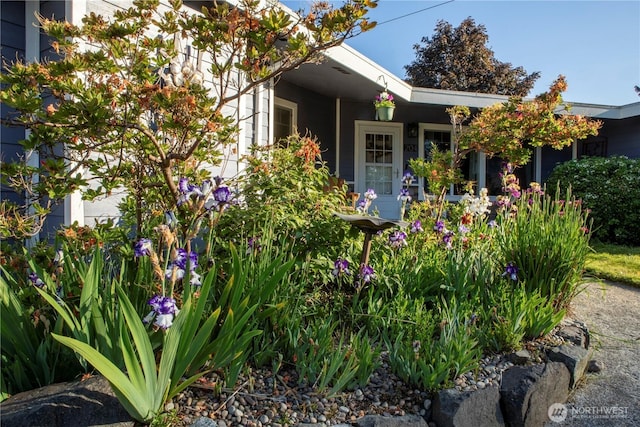 204 76th St SE, Everett, WA 98203 - view of front of house