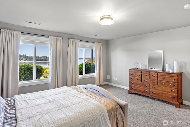 52 Chapman Loop Unit D, Steilacoom, WA 98388 - bedroom featuring carpet floors, baseboards, and a water view