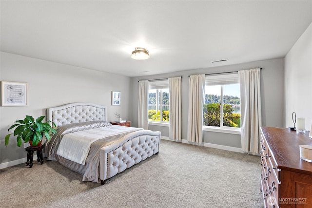 52 Chapman Loop Unit D, Steilacoom, WA 98388 - carpeted bedroom with baseboards