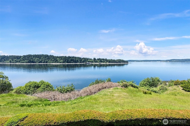 52 Chapman Loop Unit D, Steilacoom, WA 98388 - water view featuring a heavily wooded area