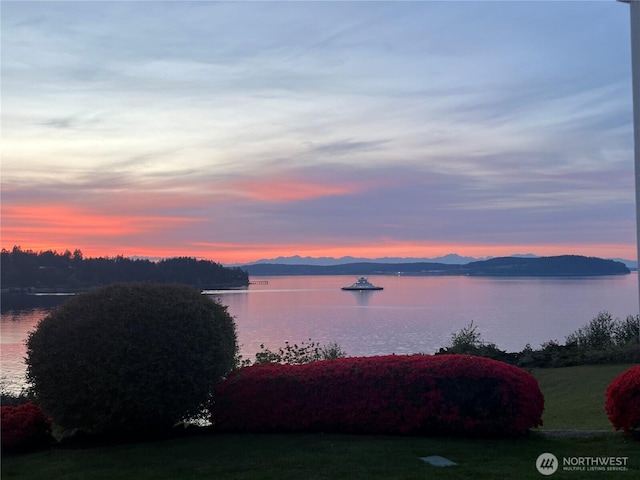 52 Chapman Loop Unit D, Steilacoom, WA 98388 - water view with mountains